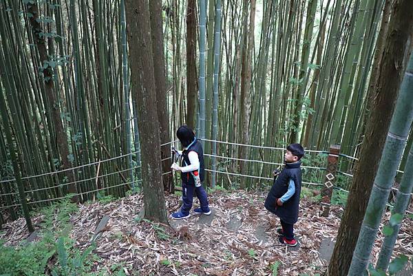 IMG_4488.JPG IMG_4488.JPG