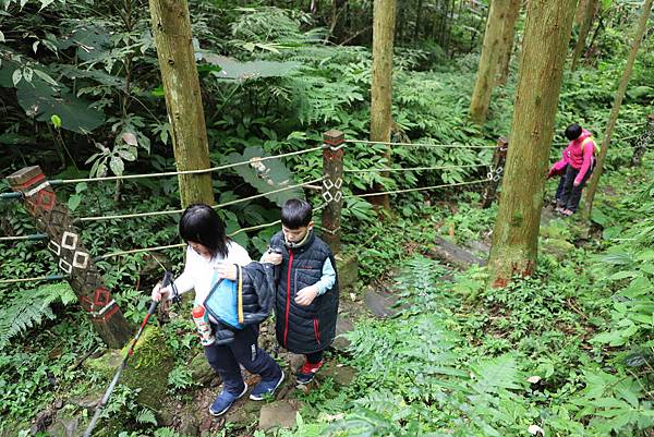 IMG_4573.JPG IMG_4573.JPG