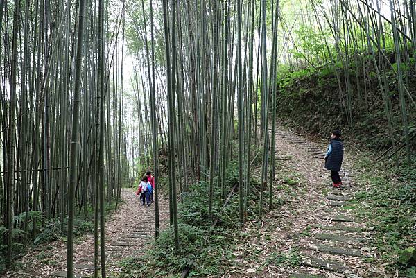 IMG_4599.JPG IMG_4599.JPG