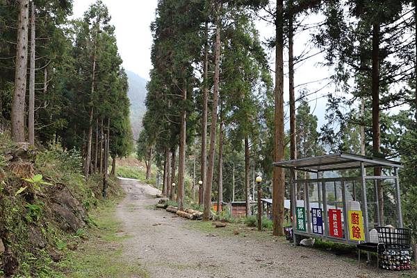 IMG_4708.JPG IMG_4708.JPG