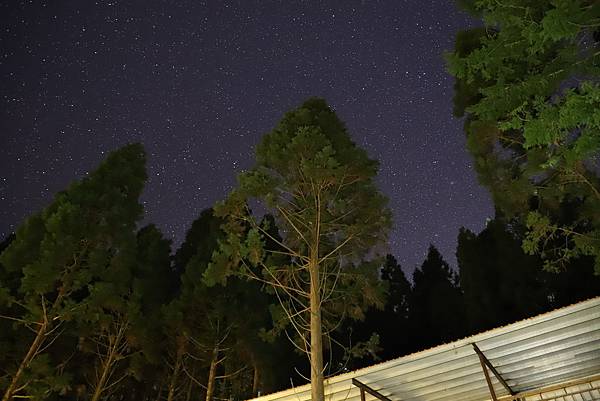 IMG_5002.JPG IMG_5002.JPG