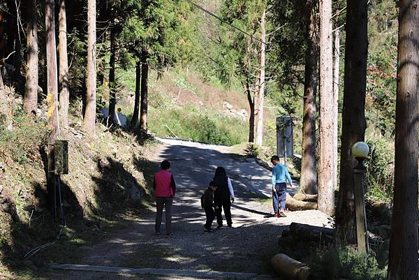 IMG_5343.JPG IMG_5343.JPG