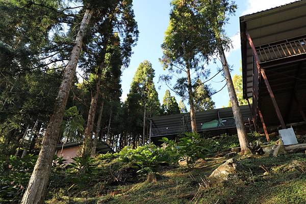 IMG_5223.JPG IMG_5223.JPG