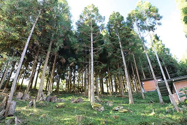 IMG_5288.JPG IMG_5288.JPG