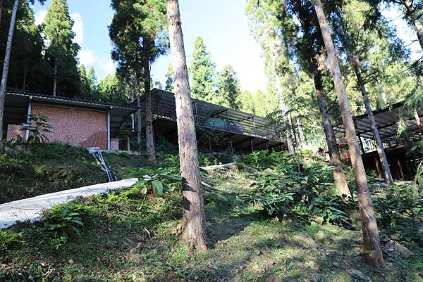 IMG_5294.JPG IMG_5294.JPG