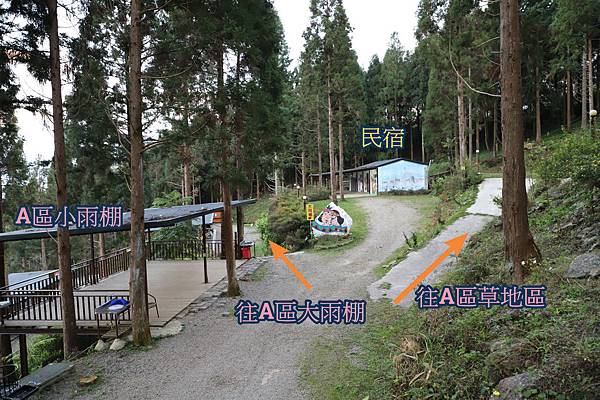 FotoJet12.jpg FotoJet12.jpg