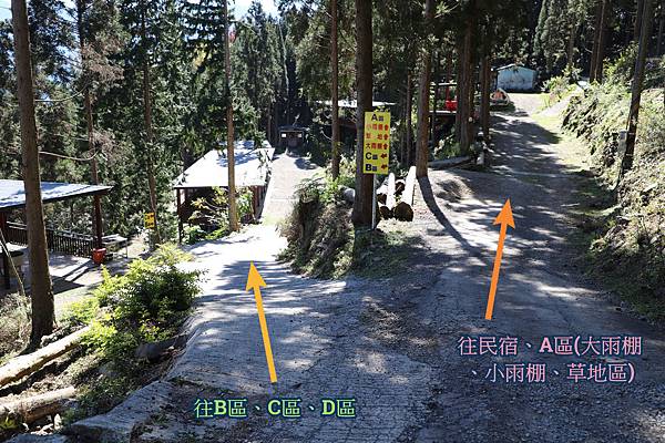 FotoJet15.jpg FotoJet15.jpg