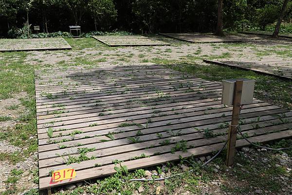 IMG_0115.JPG IMG_0115.JPG