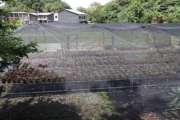 IMG_0168.JPG IMG_0168.JPG