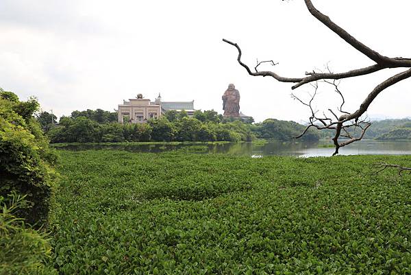 IMG_1363.JPG IMG_1363.JPG