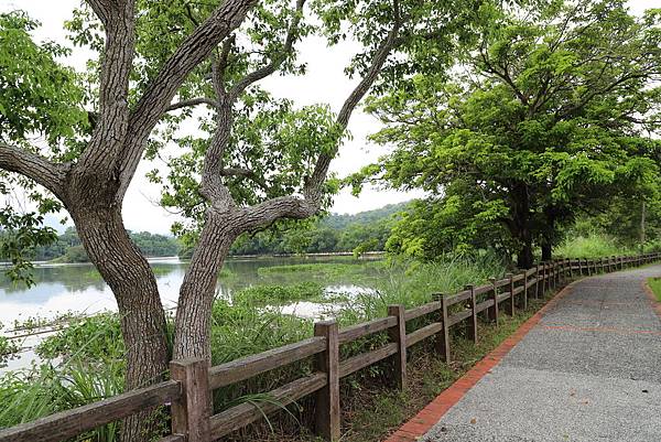 IMG_1387.JPG IMG_1387.JPG