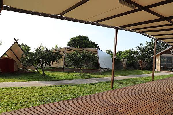 IMG_1462.JPG IMG_1462.JPG