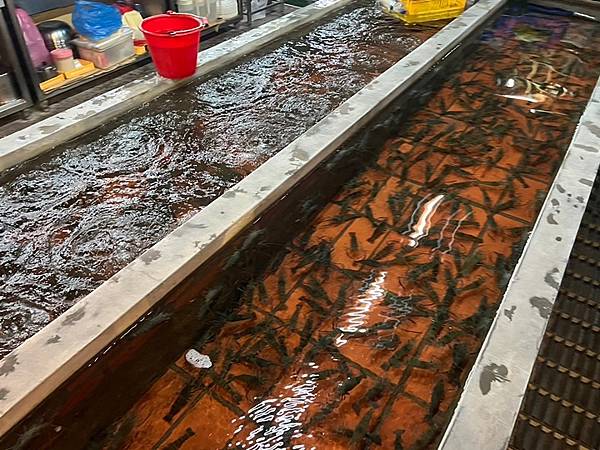 新竹餐廳推薦-黃金海岸活蝦之家 新竹餐廳推薦-黃金海岸活蝦之家