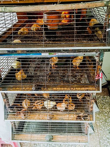 IMG_7299.jpg IMG_7299.jpg