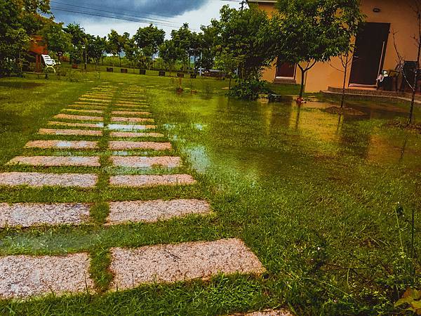 IMG_7810.jpg IMG_7810.jpg