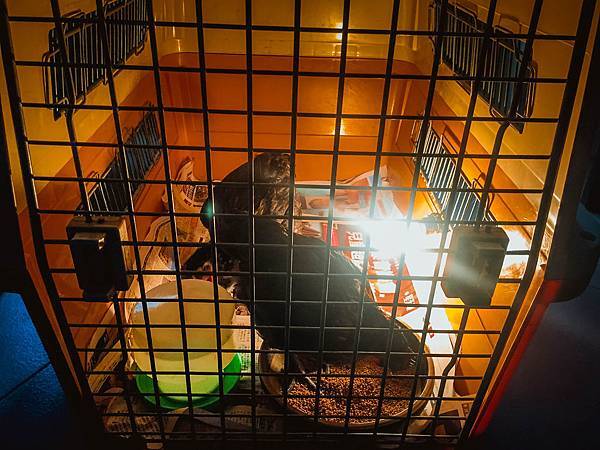 IMG_7821.jpg IMG_7821.jpg