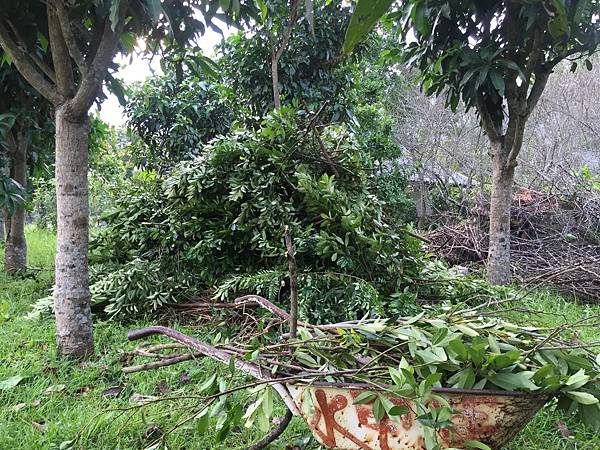 IMG_8022.JPG IMG_8022.JPG