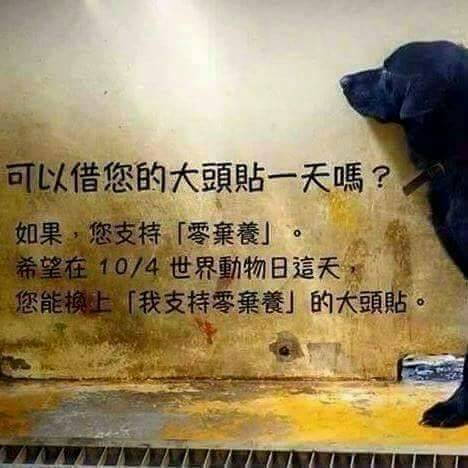 14523010_1555587847800382_5854520106230729860_n.jpg 14523010_1555587847800382_5854520106230729860_n.jpg