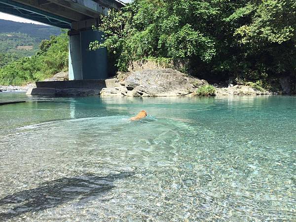 14881202_10202253368652080_598356621_o.jpg 14881202_10202253368652080_598356621_o.jpg