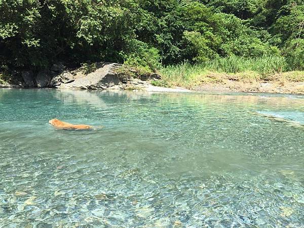 14894482_10202253368772083_275925580_o.jpg 14894482_10202253368772083_275925580_o.jpg