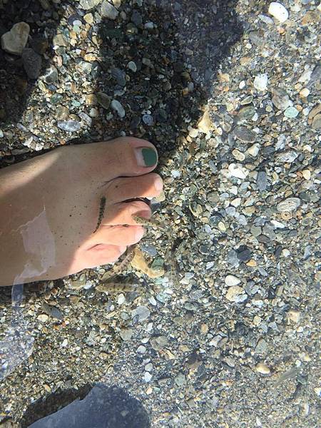 14894607_10202253368572078_1464671662_o.jpg 14894607_10202253368572078_1464671662_o.jpg