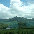 沿途風景