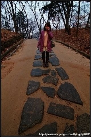 DSC_09671.jpg
