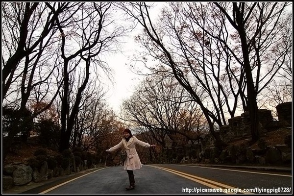 DSC_10870_下山的道路兩旁也很有味道.jpg