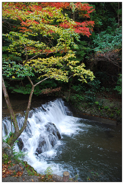 DSC_2096.jpg