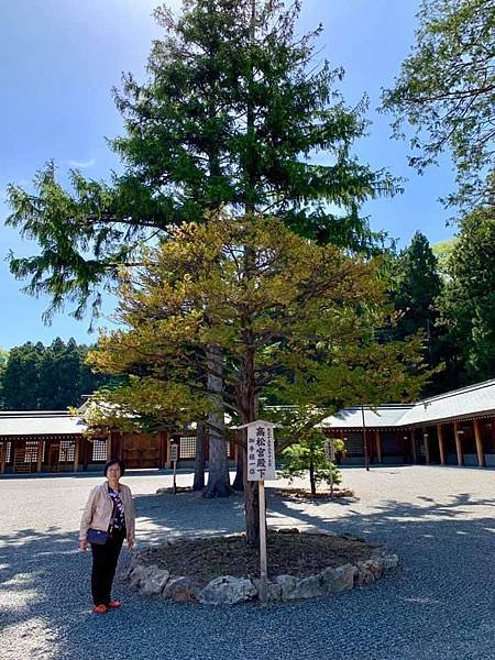 北海道神宮