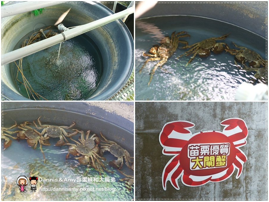 红心大闸蟹 泰国虾 生态养殖观光农场 (2).jpg