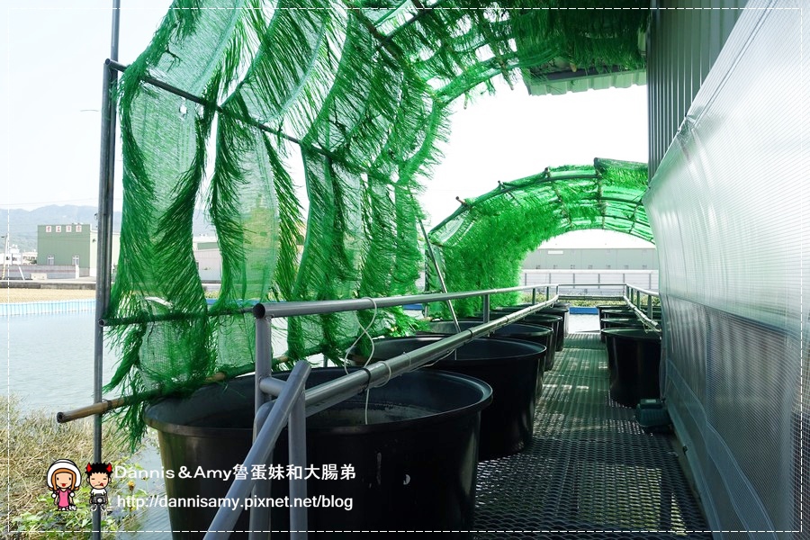 红心大闸蟹 泰国虾 生态养殖观光农场 (15).jpg