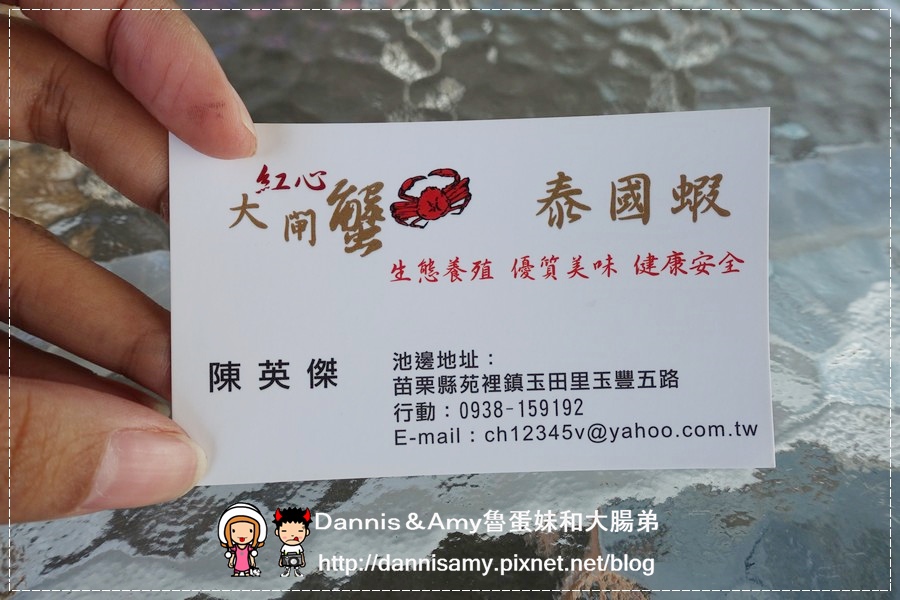 红心大闸蟹 泰国虾 生态养殖观光农场 (20).JPG