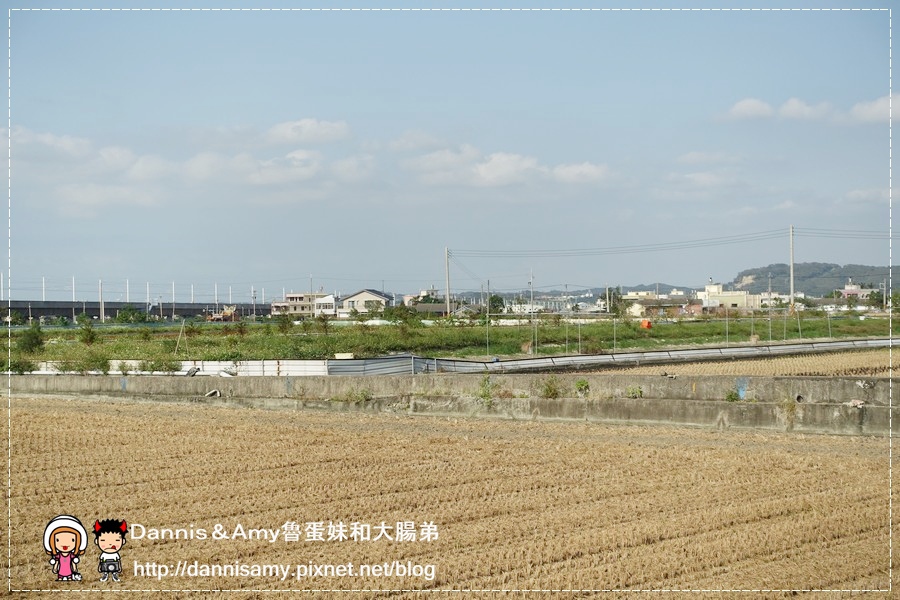 红心大闸蟹 泰国虾 生态养殖观光农场 (50).jpg