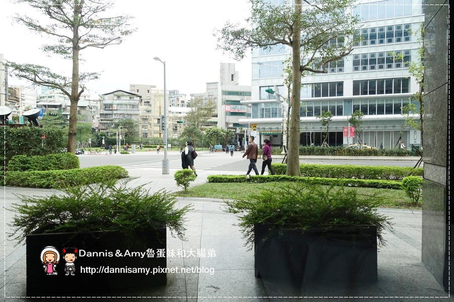 DSC08588.jpg