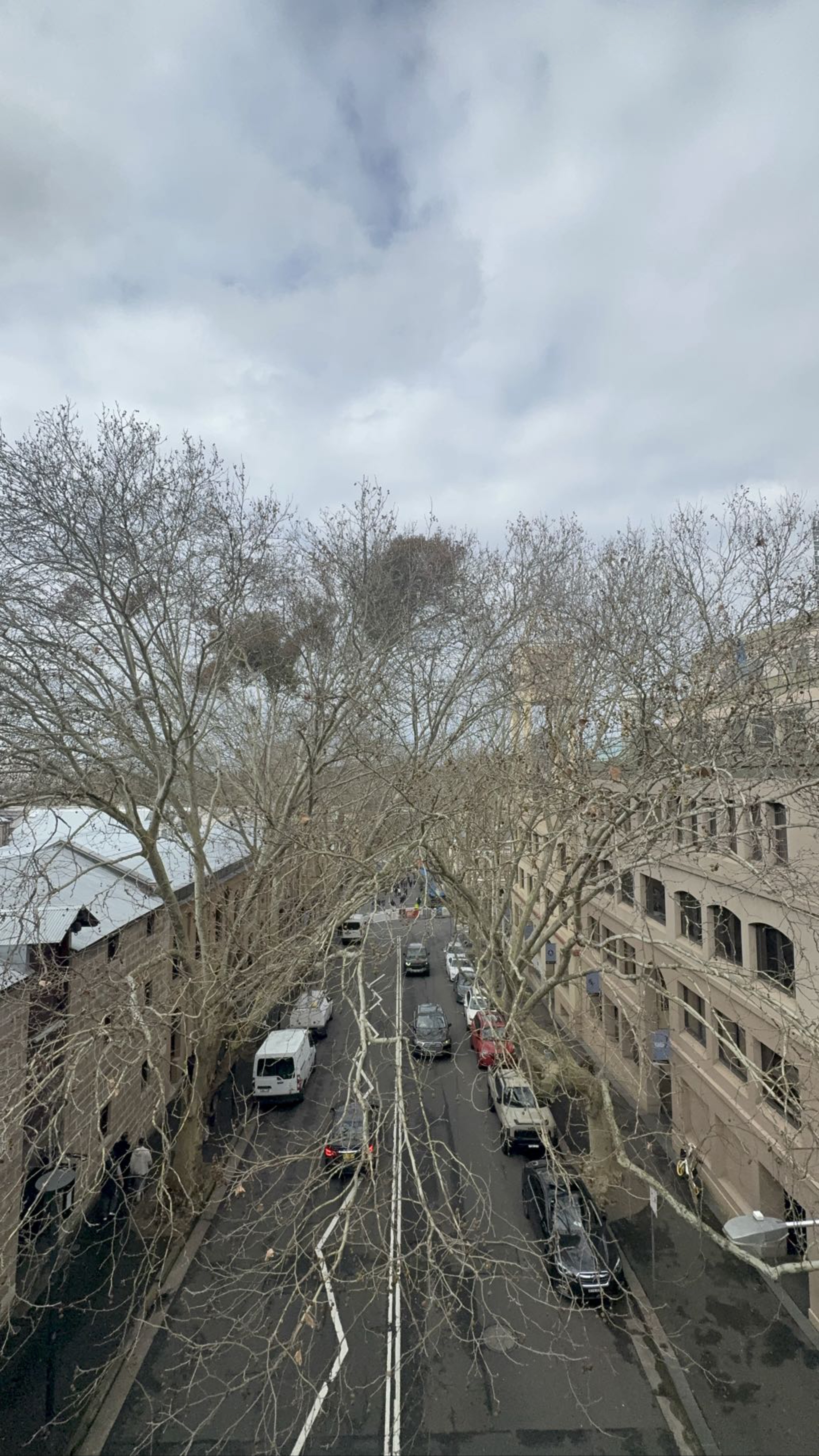 《剛到悉尼：Hey Sydney, Dance With M