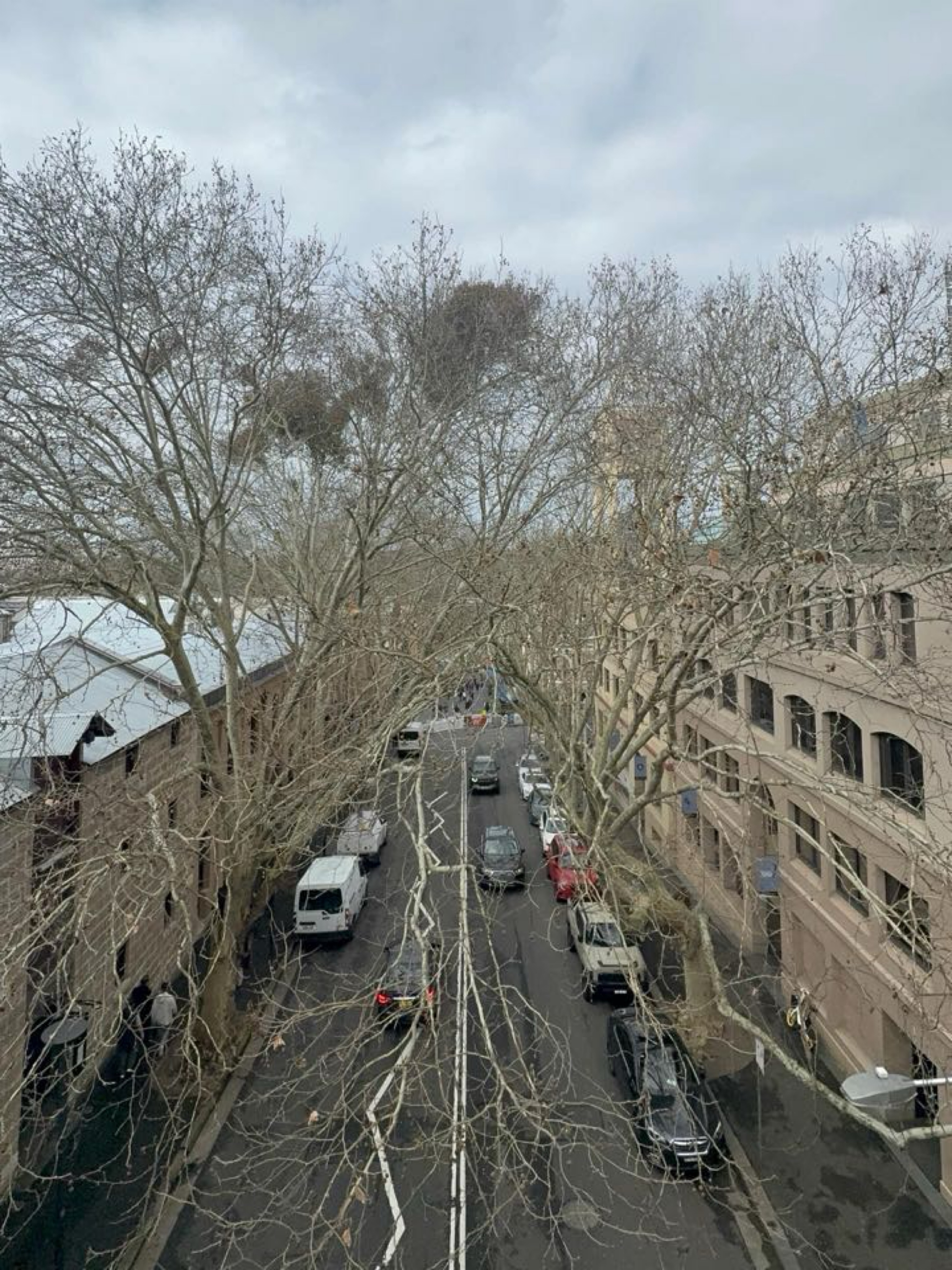 《悉尼人的親切：始於1921年營業的Old Sydney P