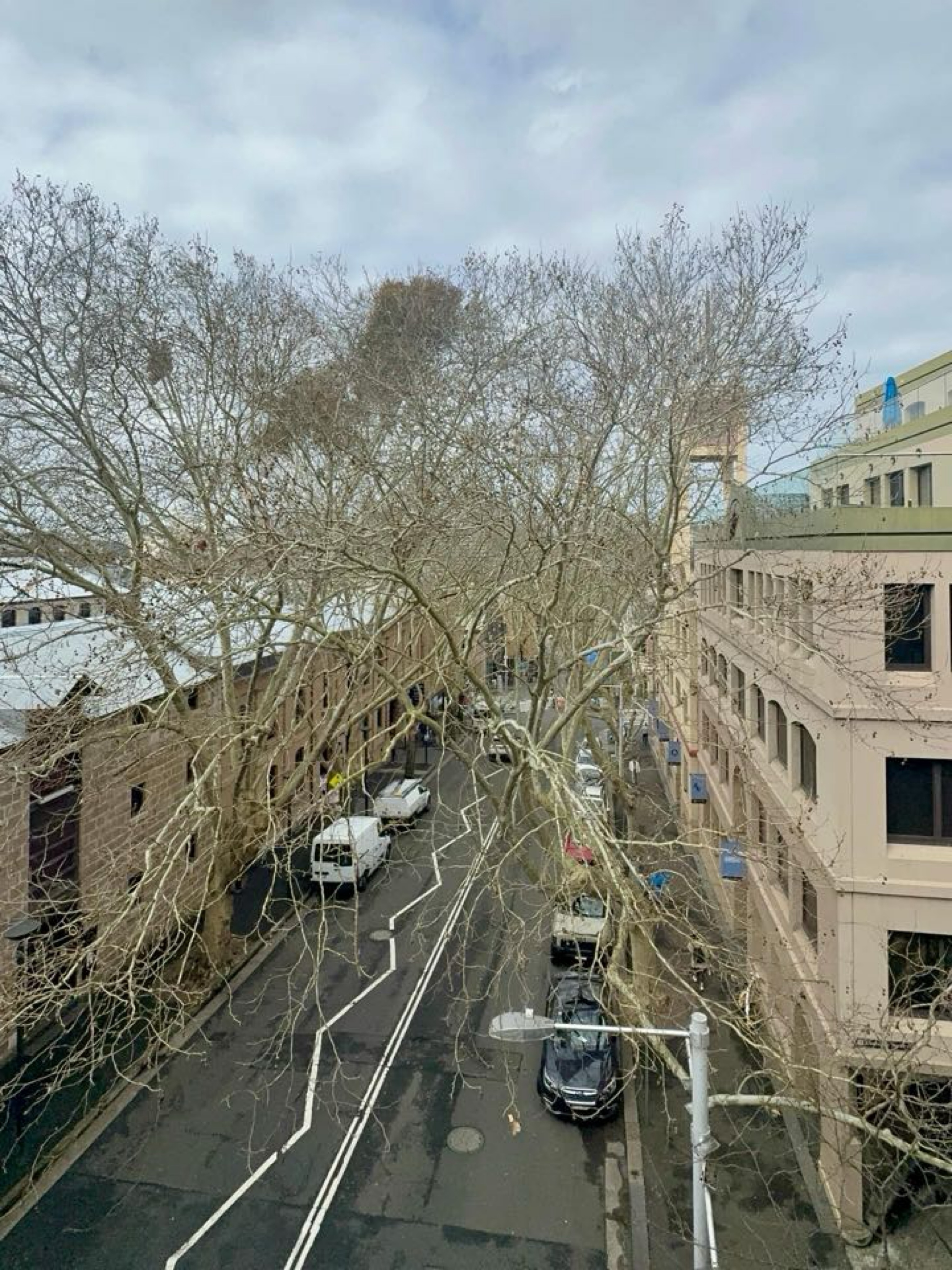 《悉尼人的親切：始於1921年營業的Old Sydney P