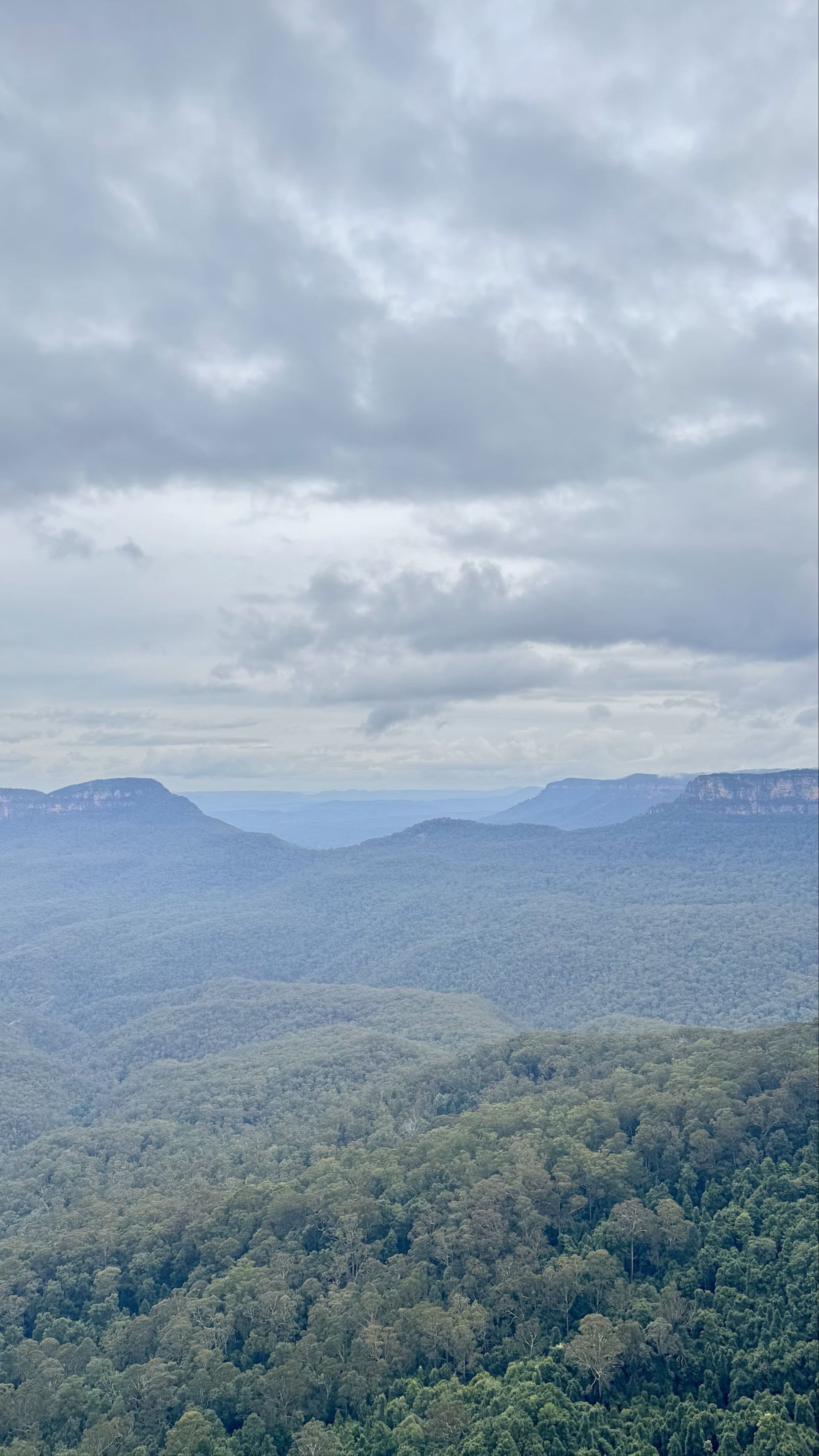 驟晴驟雨天天變：Blue Mountains