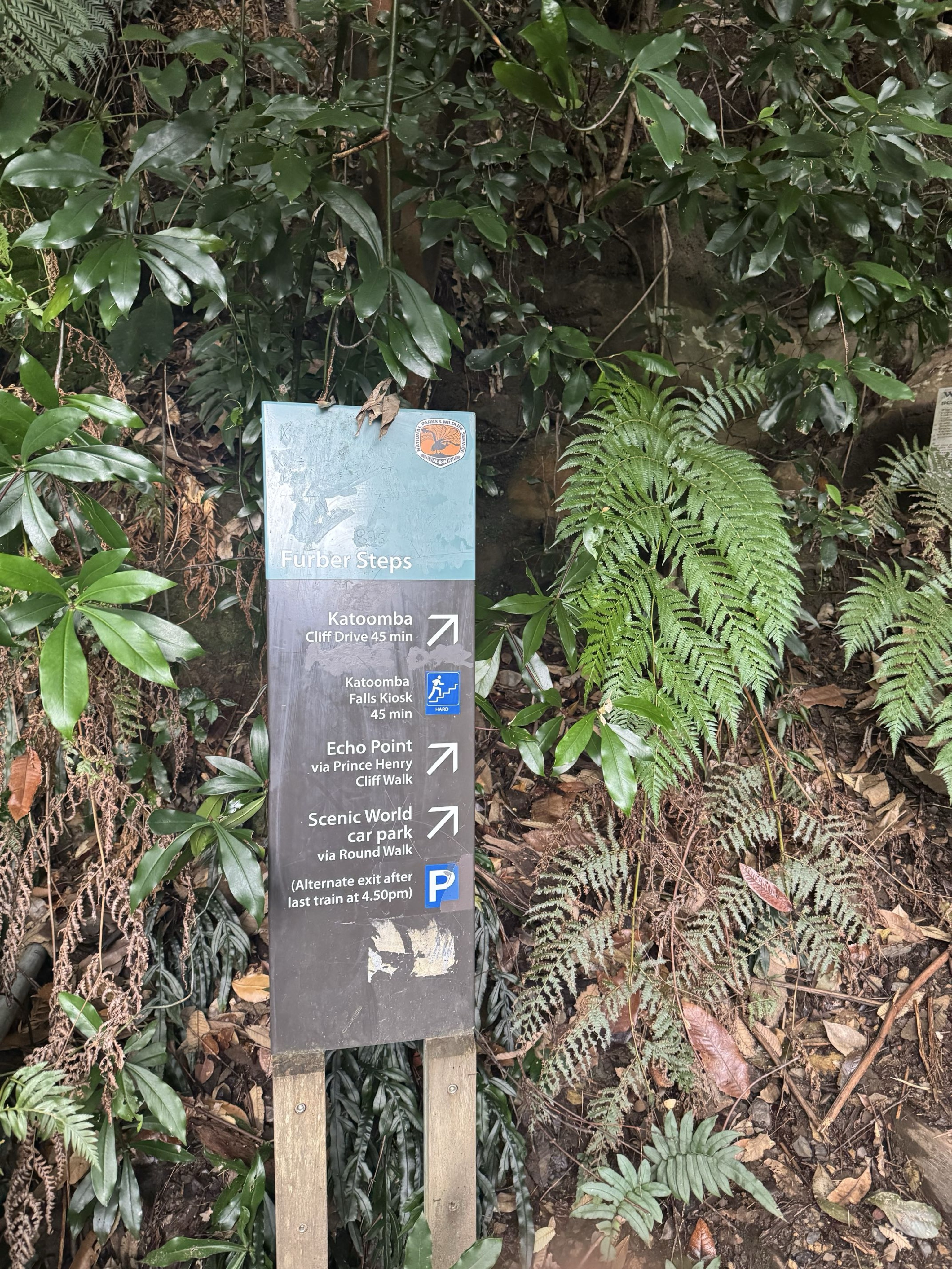 驟晴驟雨天天變：Blue Mountains