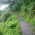 20100713觀霧-43.JPG