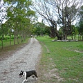 20100717臺東卑南文化公園-5.JPG