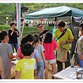 P53.jpg