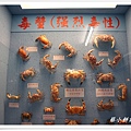 P100.jpg