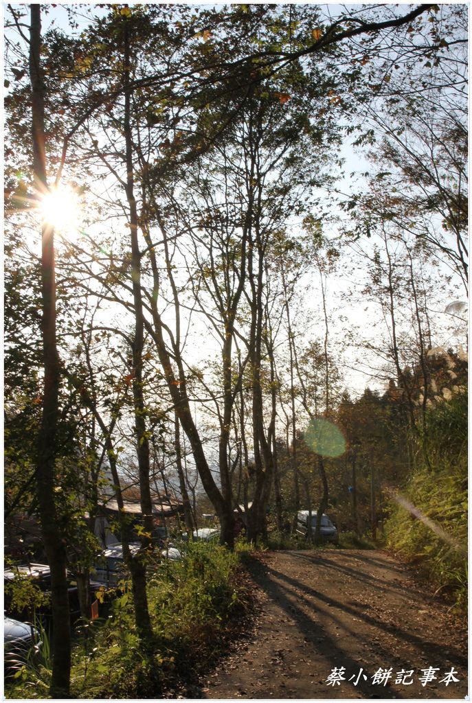 IMG_0890.JPG IMG_0890.JPG