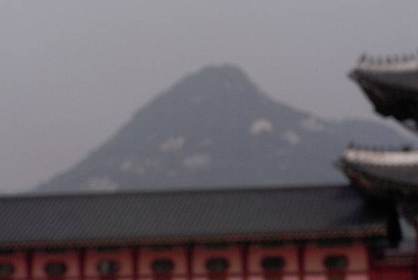 RIMG0115.JPG