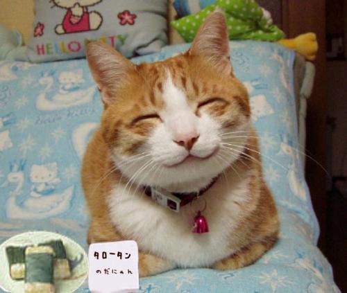 微笑貓.jpg