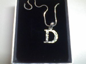 DSC00102.JPG