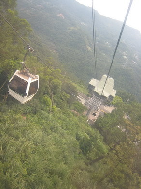 這高度可媲美雲霄飛車