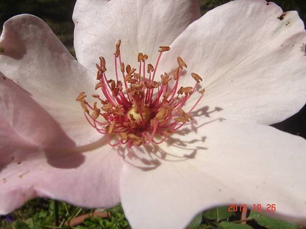 DSC00478 DSC00478